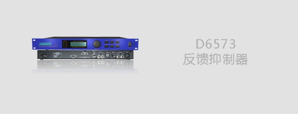 D6573反馈抑制器