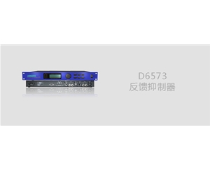 D6573反馈抑制器